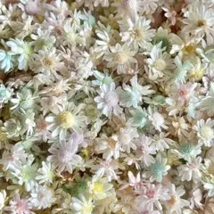 りく丸✩︎⡱様 リクエスト 3点 まとめ商品