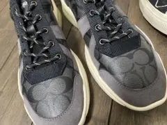 Item thumbnail for item ee02992b-7e4e-4328-975f-4d18f7de1d4a