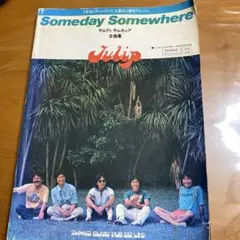 チューリップTulip Someday Somewhere ２枚組LPレコード チューリップ SOMEDAY SOMEWHERE 2枚組LPレコード - メルカリ