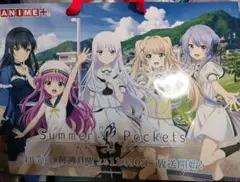 アニメジャパン2025 　サマーポケッツ ショッパー　サマポケ　しろは