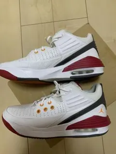 [ナイキ] ジョーダン マックス オーラ 5 サイズ26.5cm