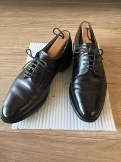 【極美品】Lloyd Footwear ロイドフットウェア カーフ 黒 8 革靴 極美品】Lloyd Footwear ロイドフットウェア カーフ 黒 8 革靴 - メルカリ