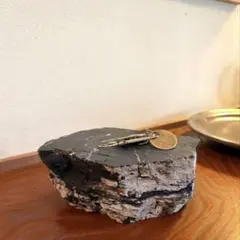 珪化木　ペトリファイドウッド　アクセサリートレイ　皿　置物　お香皿 珪化木 ペトリファイドウッド アクセサリートレイ 皿 置物 お香皿