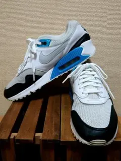【レア 極美品】NIKE AIR MAX 90/1 / エアマックス /27cm