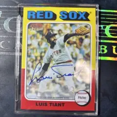 Item thumbnail for item c892295a-da50-480d-b433-dd2253f826a1