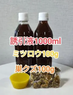 Item thumbnail for item c64ee1b5-503d-4503-bae8-bcbc78334b4a