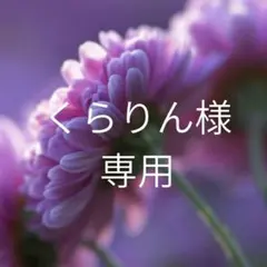 くらりん様専用
