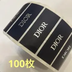 Dior ネイルシール 3シートセット デザイン ガリアーノ期 希少 ロゴ