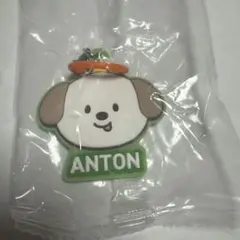 RIIZE めじるしアクセサリー ガチャガチャ アントン モンリョンイ