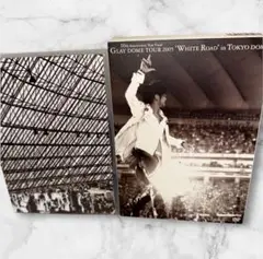 GLAY / 10th Anniversary Year Final DVD2枚