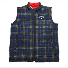 Item thumbnail for item 64225c20-75a3-4436-b427-d3b5788c9476