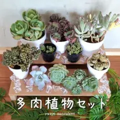 山田なかむら様 リクエスト 2点 まとめ商品