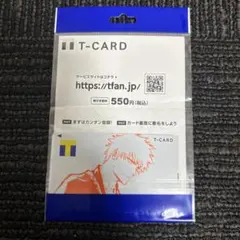 ブリーチBLEACH 黒崎一護　 Tカード