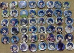 あんスタ あんさんぶるスターズ 漣ジュン Nov 缶バッジ アクスタ
