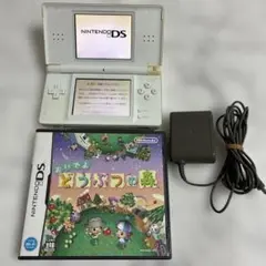 美品　ニンテンドーDSiLL本体　おいでよどうぶつの森ソフトセット 美品 ニンテンドーDSiLL本体 おいでよどうぶつの森ソフトセット