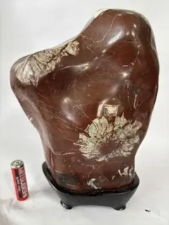 岐阜県根尾谷産】天然 大輪浮き出し 菊花石【専用台座（紫檀）付き