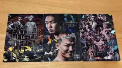 RIZINポテトスティックカード　3枚セット