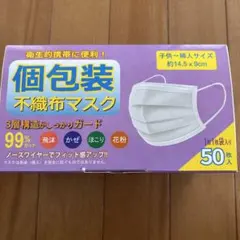 個包装 不織布マスク 50枚入り