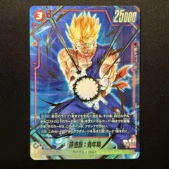 孫悟飯：青年期 パラレル FB08-012 SR★