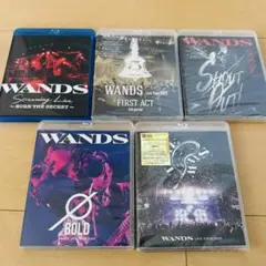 2026年最新】wandsの人気アイテム - メルカリ