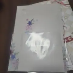 Mrs. GREEN APPLE レターセット H賞