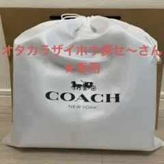オタカラザイホウ探せ〜さん★専用