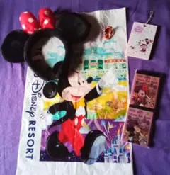 ディズニー ミッキー＆ミニー グッズ 5点セット