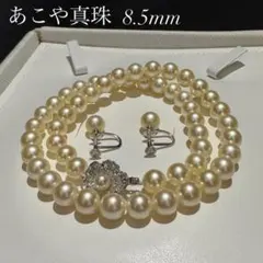 大珠 8.5mm✨あこや真珠 パール ネックレス イヤリングセット SILVER