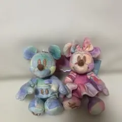 東京ディズニーリゾート40周年 ミッキー ミニー ぬいぐるみバッヂセット
