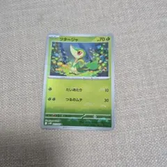 ツタージャ ポケモンカード詳しくは詳細へ