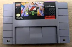 nes