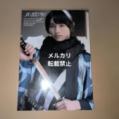 2026年最新】君とゆきて咲く スターターブックの人気アイテム - メルカリ