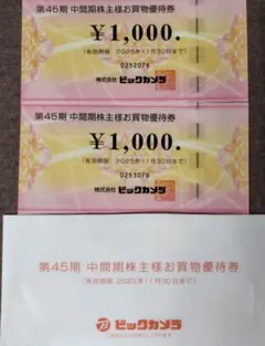 ビックカメラ　株主優待　2,000円分