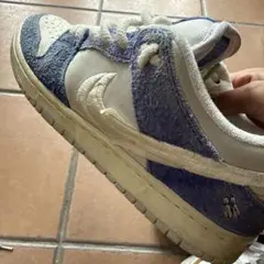 Fly Streetwear × Nike SB Dunk Low