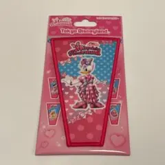 デイジー　ディズニー　パルパルーザ　ミニーのファンダーランド　ワッペン