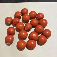 三毛猫様 リクエスト 2点 まとめ商品