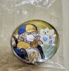 ポケモン ウォロ 缶バッジ 2025年最新】ウォロ 缶バッジの人気アイテム - メルカリ