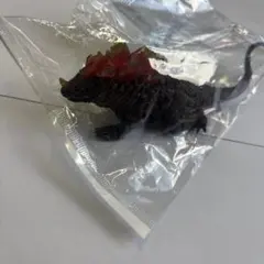 3588様 リクエスト 2点 まとめ商品