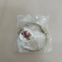 Item thumbnail for item 8ba27cff-b82e-409b-b4be-a50b51095b70