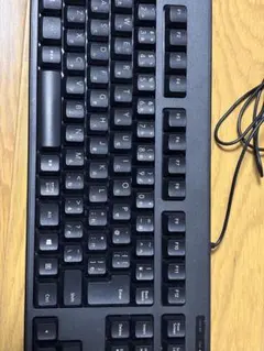 ELECOM 有線キーボード メンブレン TK-FCM103BK USB 日本語