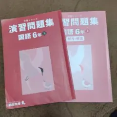 四谷大塚 演習問題集 国語 6年 上巻 - メルカリ