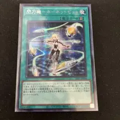 2025年最新】ホーネットビット シークレットの人気アイテム