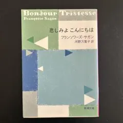 フランソワーズ・サガン19巻セット【送料込　匿名配送】 文庫本　セット販売のみ フランソワーズ・サガン19巻セット【送料込 匿名配送】 文庫本 セット