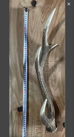 蝦夷鹿の角 インテリア・装飾・置物用 - メルカリ