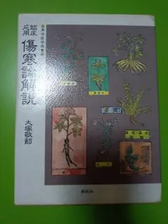 臨床応用傷寒論解説