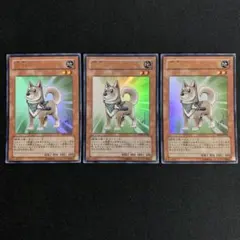 2025年最新】柴戦士タロの人気アイテム - メルカリ