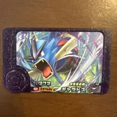 ポケモン　フレンダ　ギャラドス
