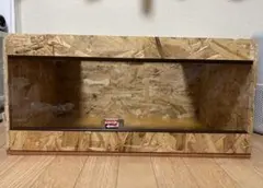 2025年最新】飼育ケージの人気アイテム - メルカリ