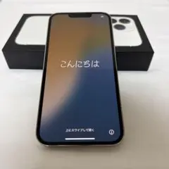 iPhone13Pro 256GB