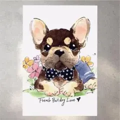 イラスト 原画 ポストカード 絵 【フレンチブルドッグ】243